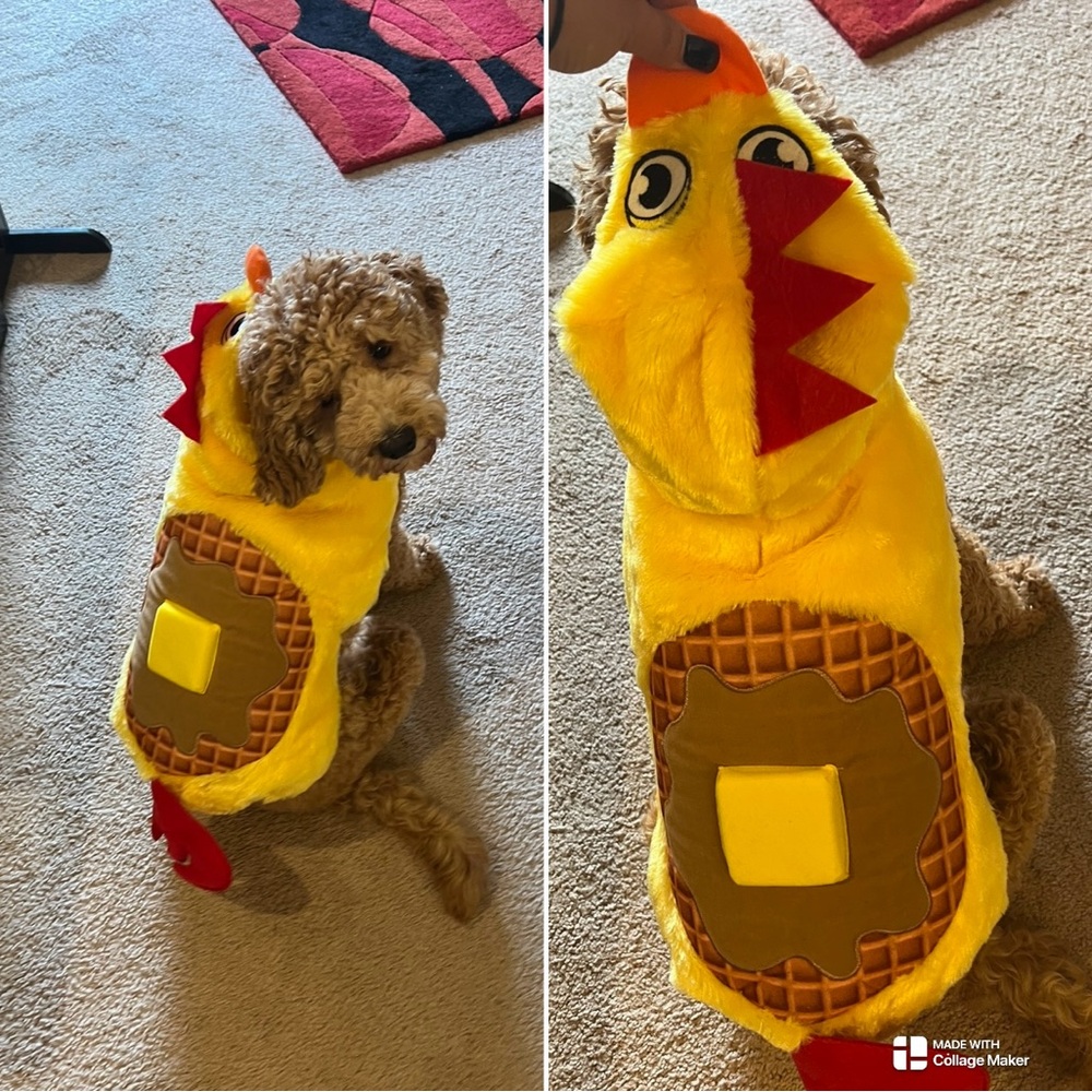Chicken and Waffle Yellow Plush Hooded Dog Pet Costume NWOT
